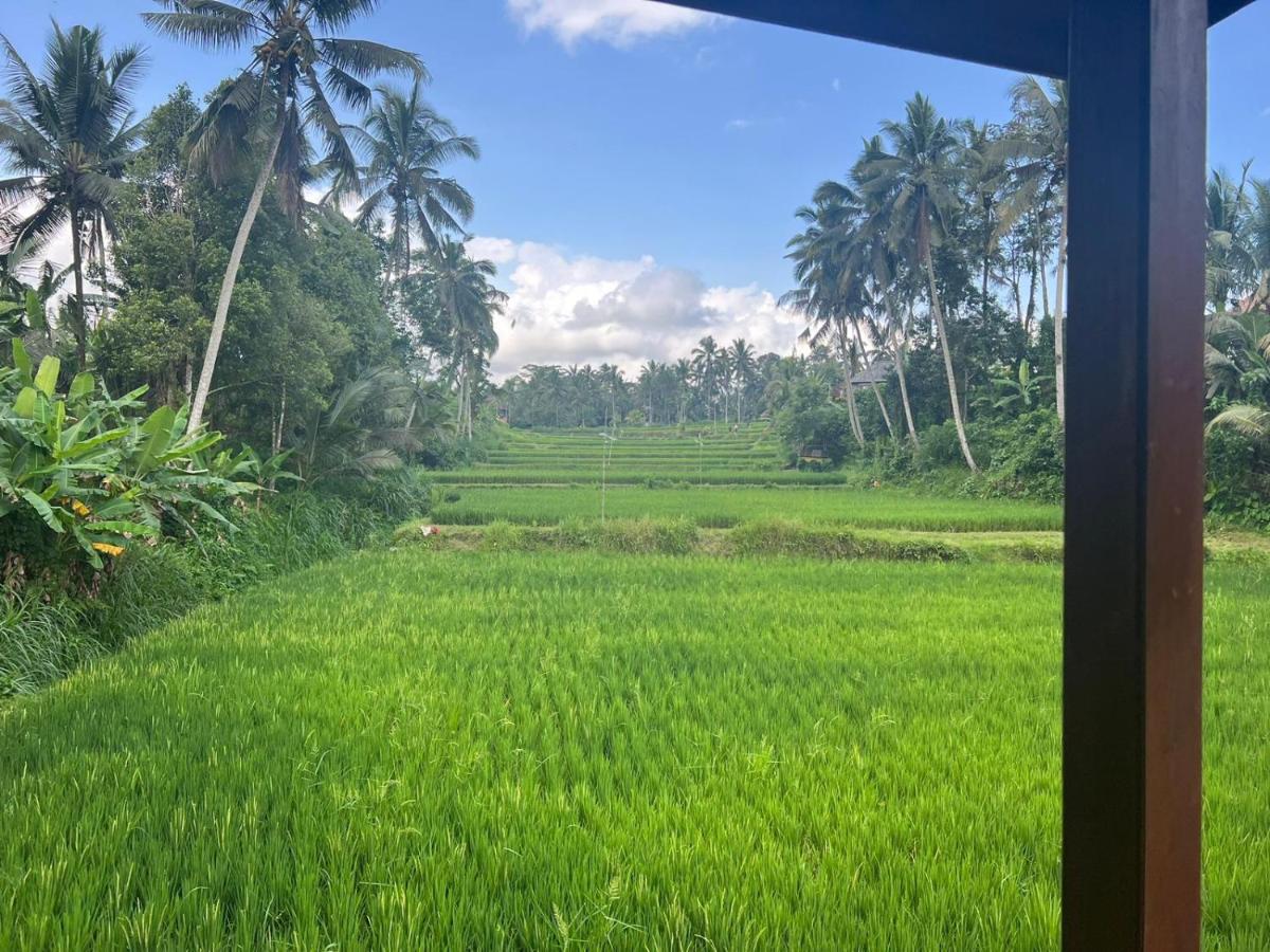 Ubud Sawah Scenery Villa And Homestay Tegallalang  Ngoại thất bức ảnh