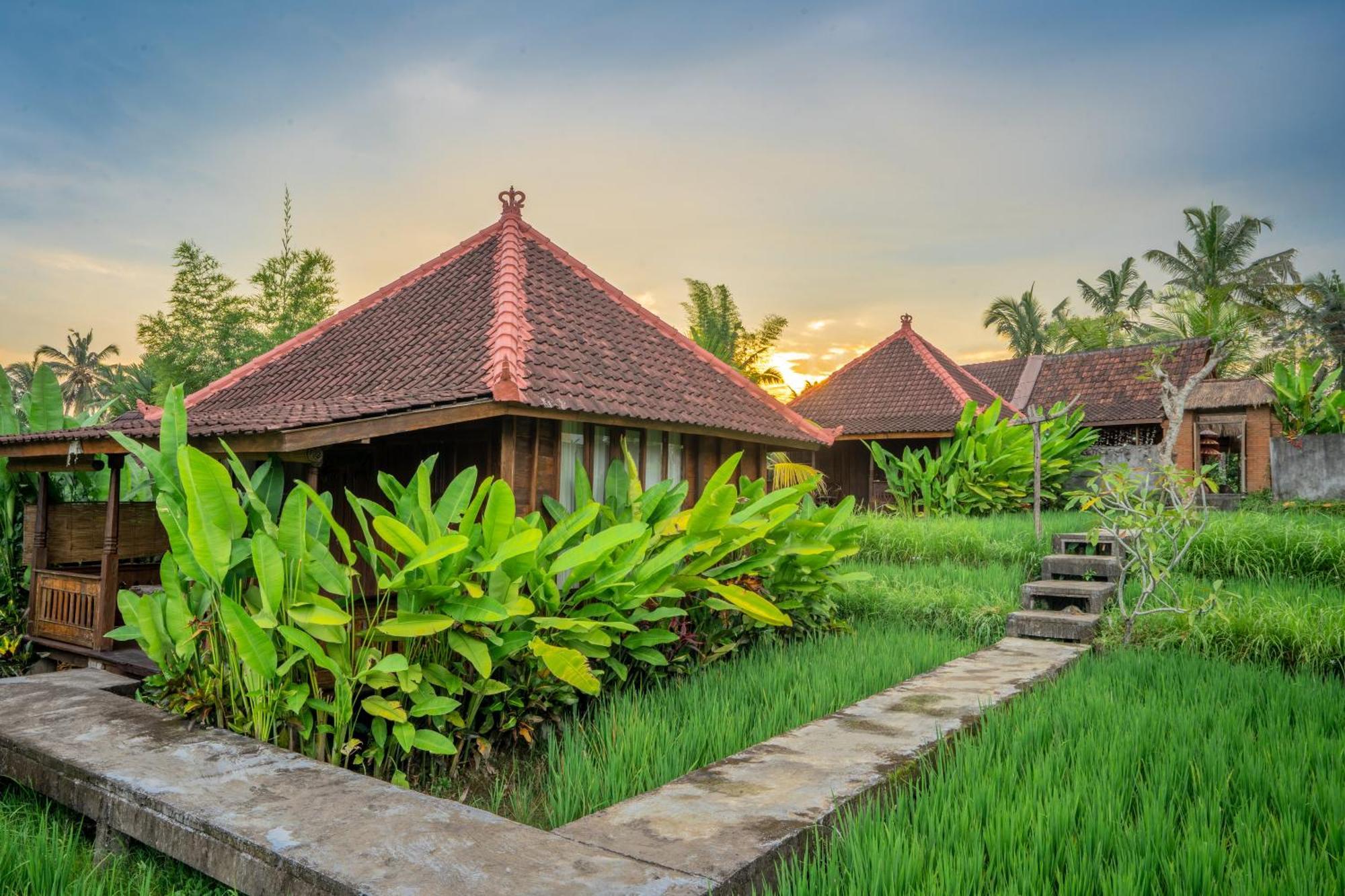Ubud Sawah Scenery Villa And Homestay Tegallalang  Ngoại thất bức ảnh