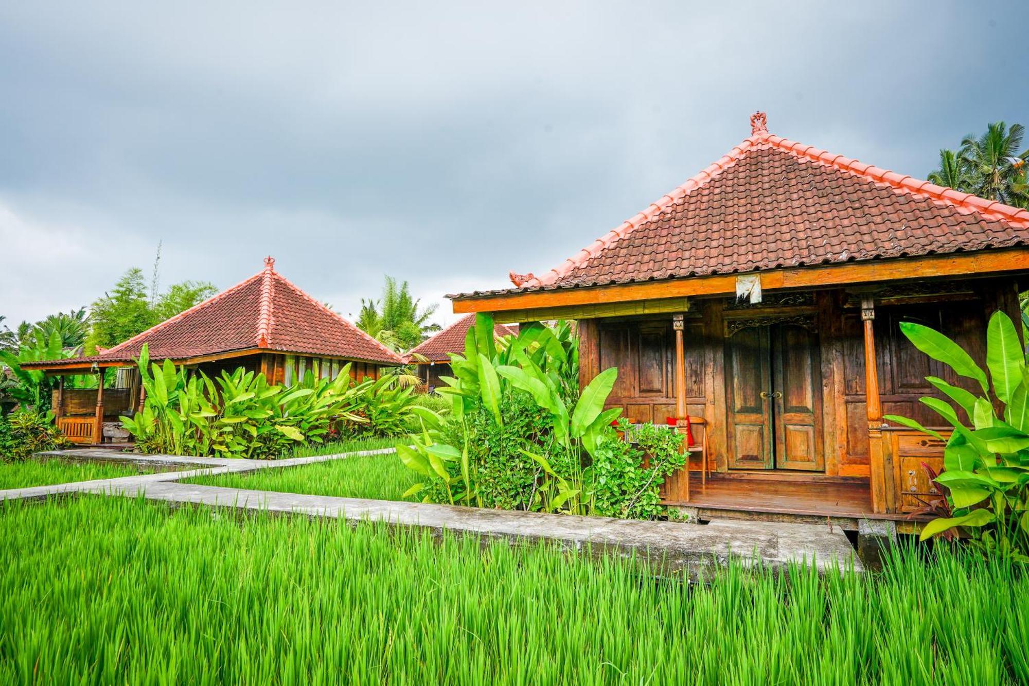 Ubud Sawah Scenery Villa And Homestay Tegallalang  Ngoại thất bức ảnh