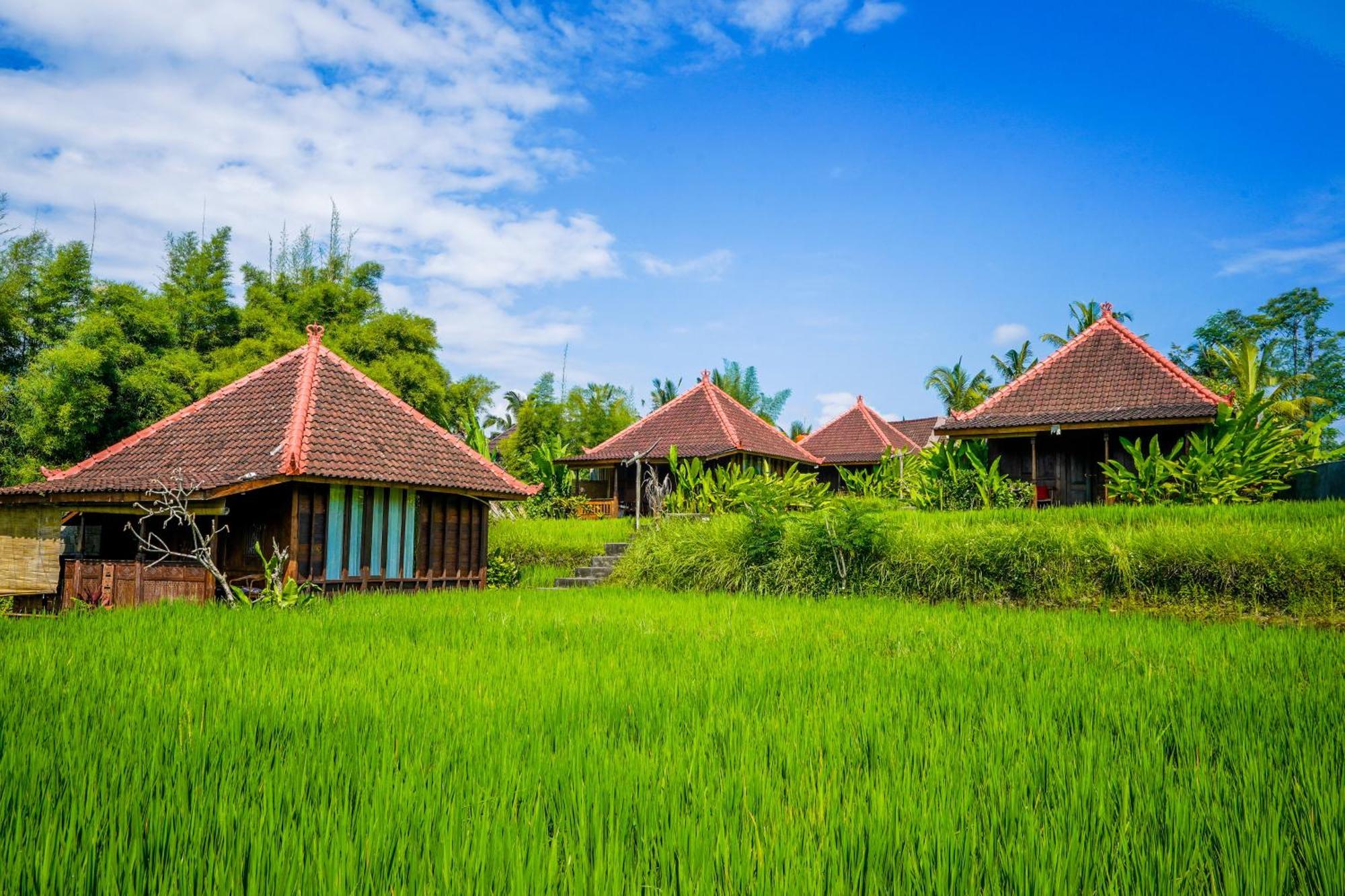 Ubud Sawah Scenery Villa And Homestay Tegallalang  Ngoại thất bức ảnh