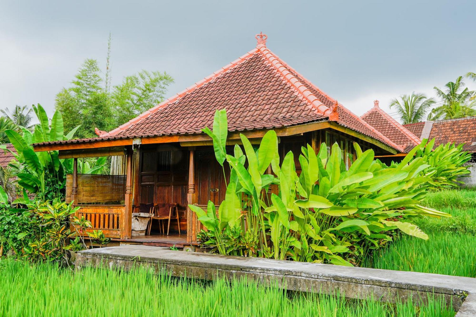 Ubud Sawah Scenery Villa And Homestay Tegallalang  Ngoại thất bức ảnh