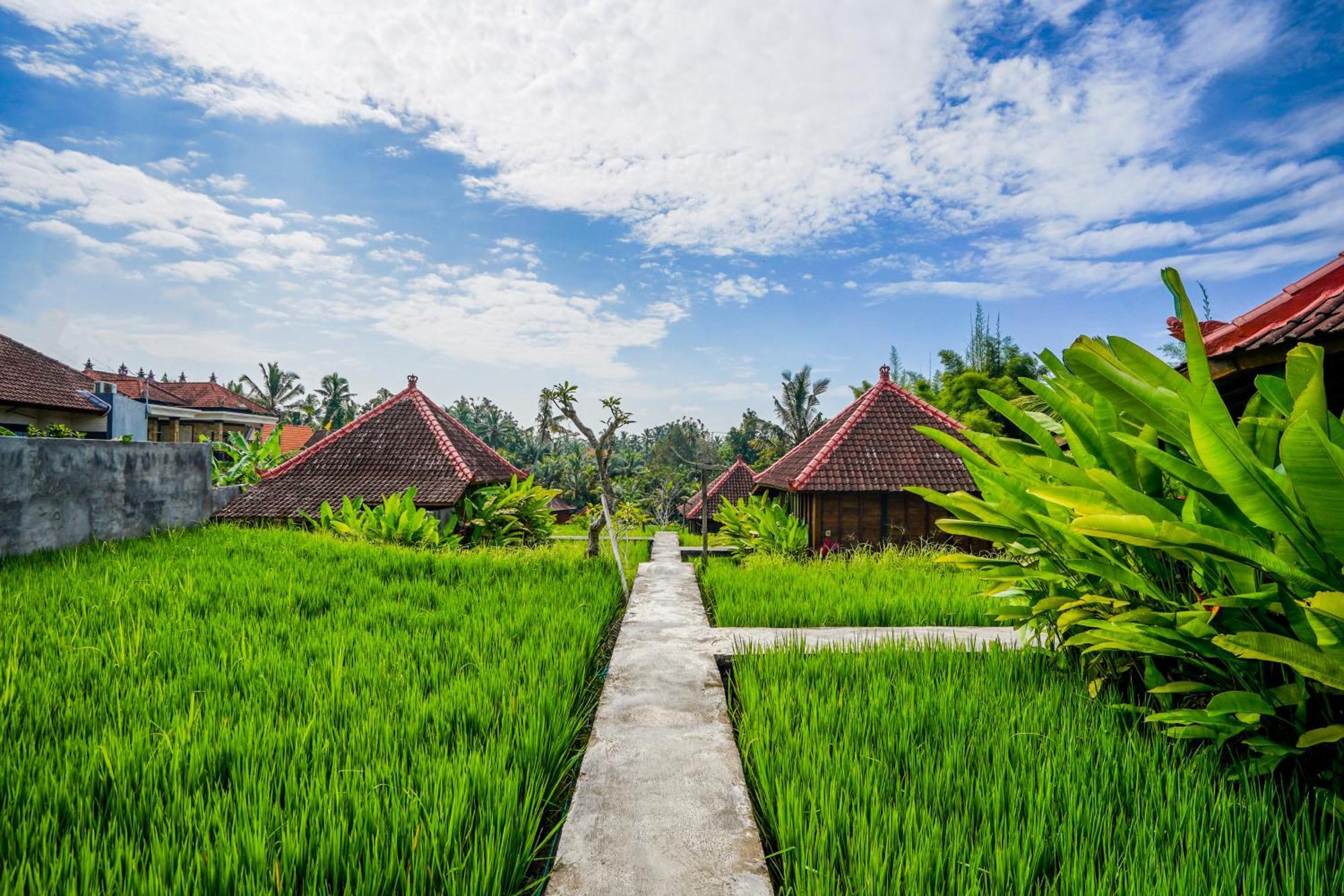 Ubud Sawah Scenery Villa And Homestay Tegallalang  Ngoại thất bức ảnh